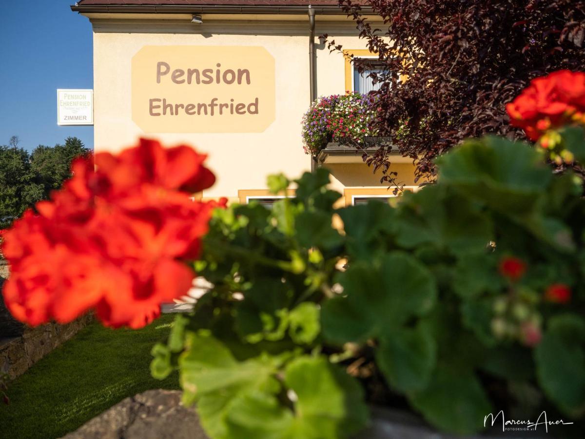 Pension Ehrenfried - Hotel Garni Kindberg Екстериор снимка
