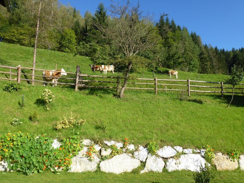 Pension Ehrenfried - Hotel Garni Kindberg Екстериор снимка
